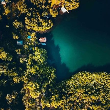 Dolphin Bay Hideaway Bed & Breakfast Bocas Town Dış mekan fotoğraf