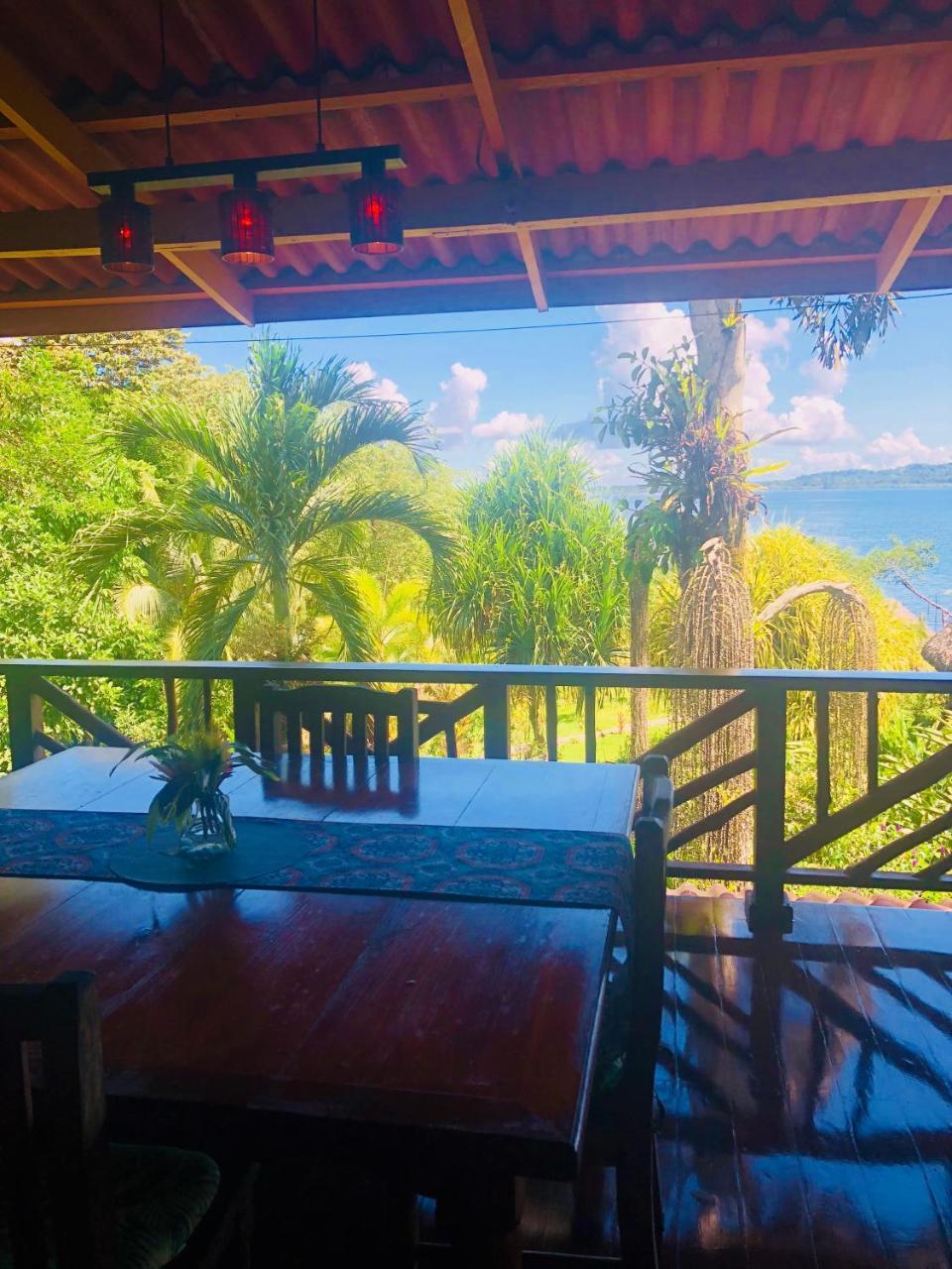Dolphin Bay Hideaway Bed & Breakfast Bocas Town Dış mekan fotoğraf