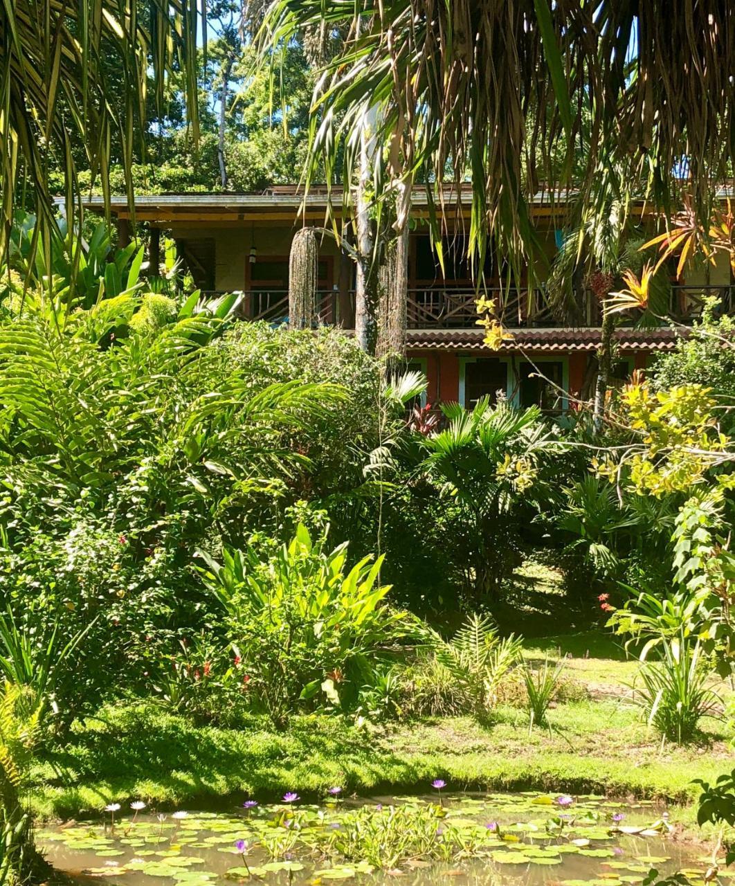 Dolphin Bay Hideaway Bed & Breakfast Bocas Town Dış mekan fotoğraf